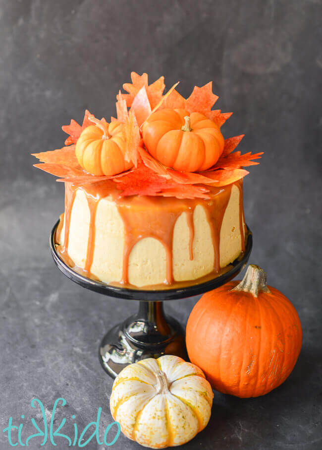 fall cake iced in pumpkin pie frosting with a caramel drizzle and topped with miniature pumpkins and wafer paper fall leaves.