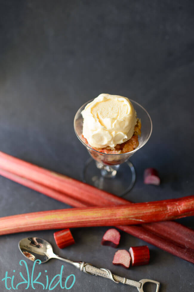 Rhubarb cobbler in a glass dish, topped with vanilla ice cream, next to stalks and slices of fresh rhubarb.