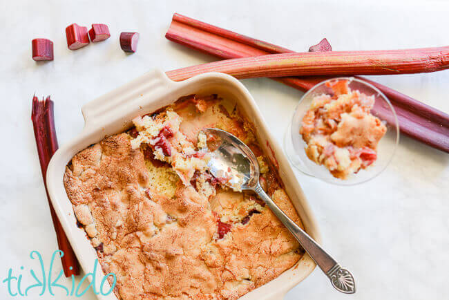 Rhubarb cobbler baked in a square dish, with a spoon scooping out some of the cobbler into a glass serving dish.  Fresh rhubarb stalks and slices surround the cobbler.