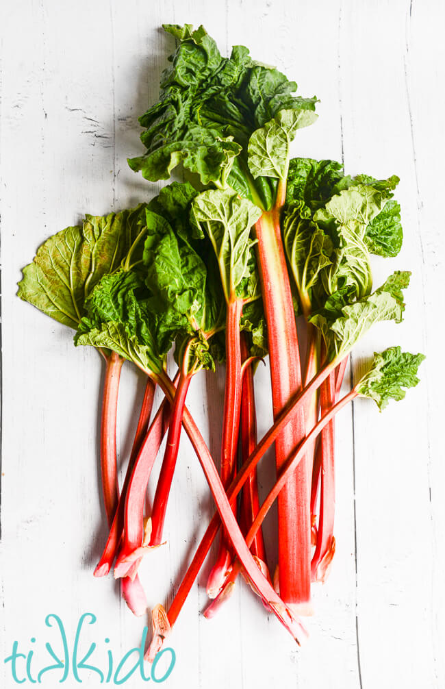 Stalks of fresh rhubarb on a white wooden surface.