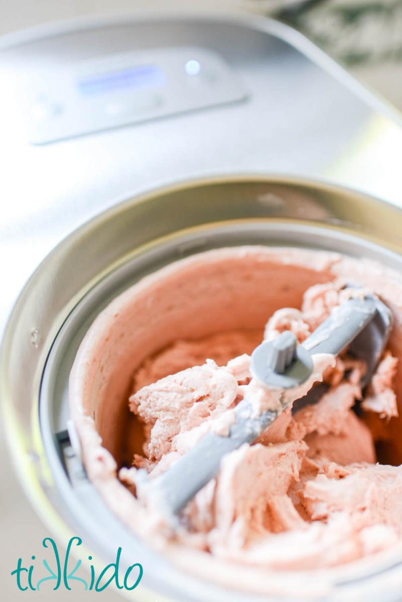Freshly churned rhubarb ice cream in a cuisinart ice cream maker.