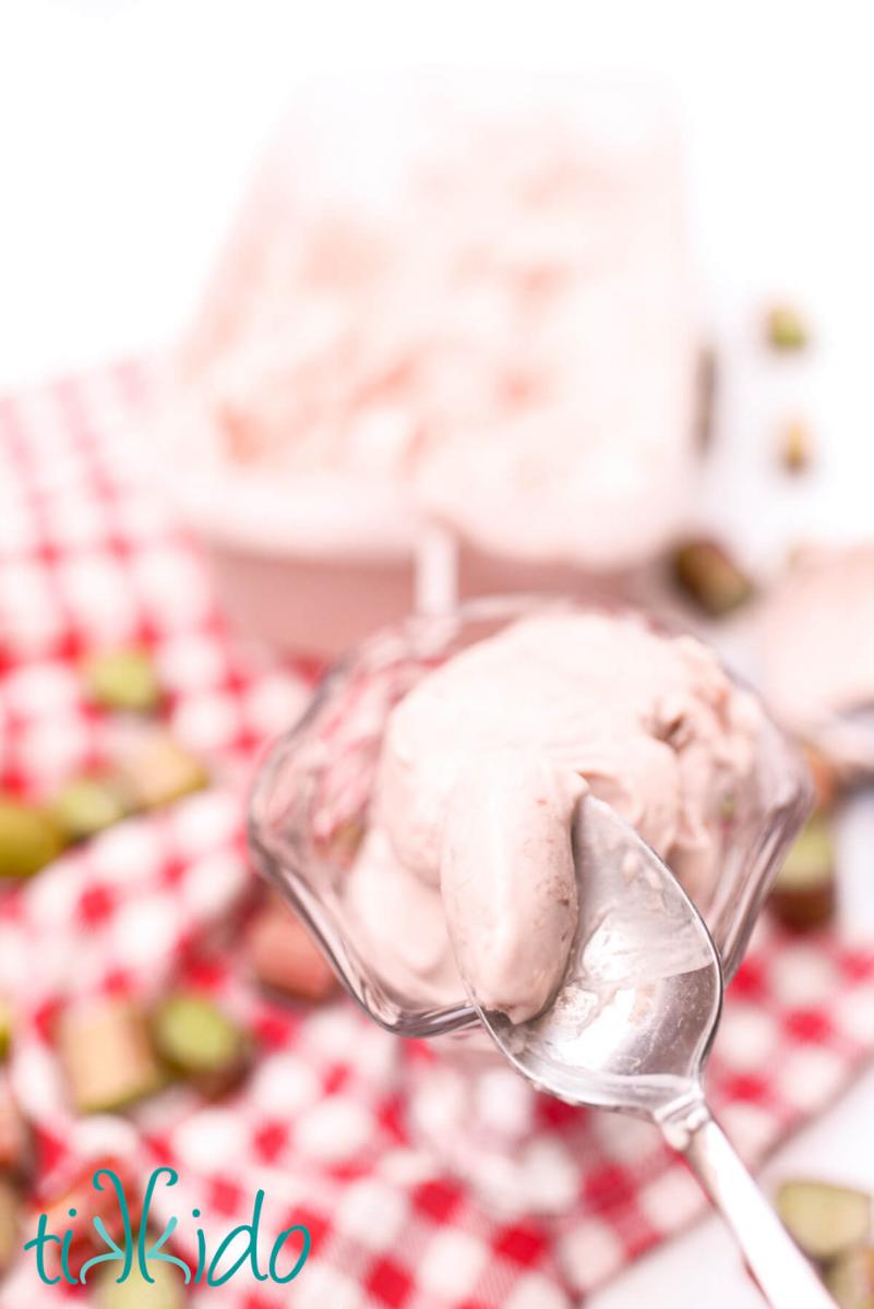 Spoon with rhubarb ice cream over a glass dish with a scoop of rhubarb ice cream.  It sits on a red and white checkered cloth and slices of fresh rhubarb are scattered around.