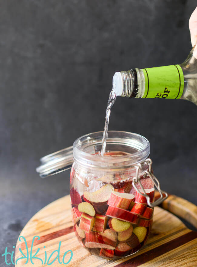 Everclear alcohol being poured in a mason jar over chunks of rhubarb to make Rhubarb Liqueur.