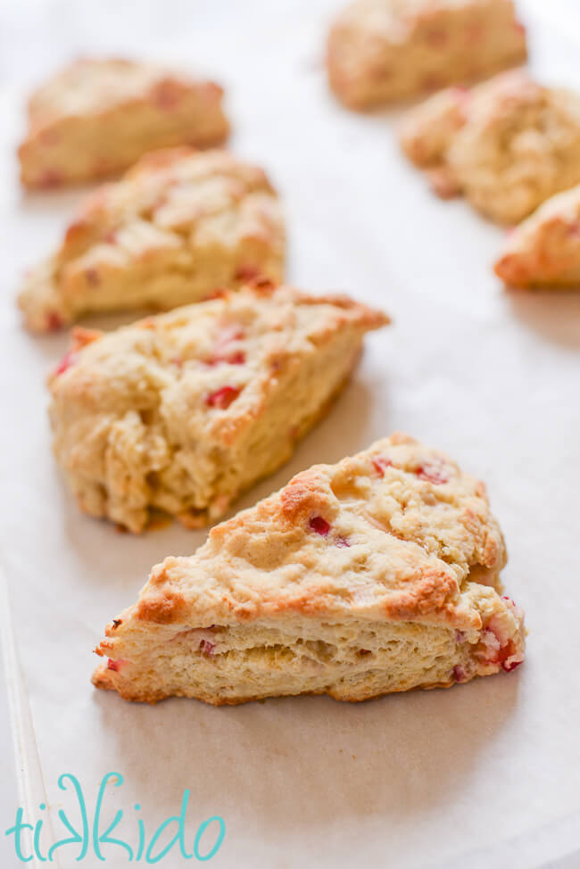 Freshly baked rhubarb scones on a parchment lined cookie sheet.
