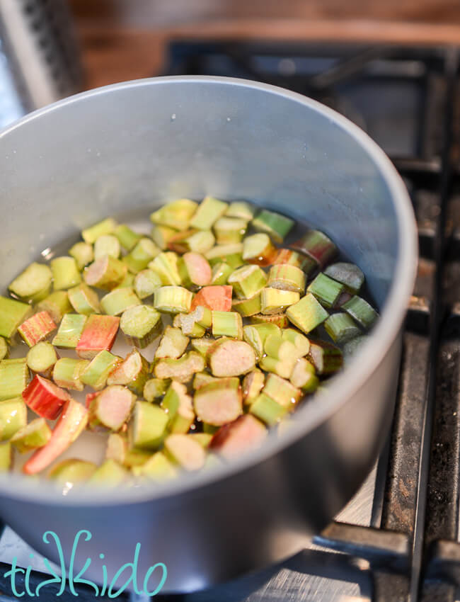 Rhubarb syrup ingredients in a saucepan before being cooked.