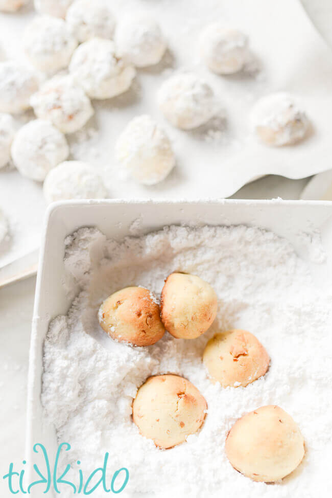 Russian Tea Cake cookies being rolled in powdered sugar.