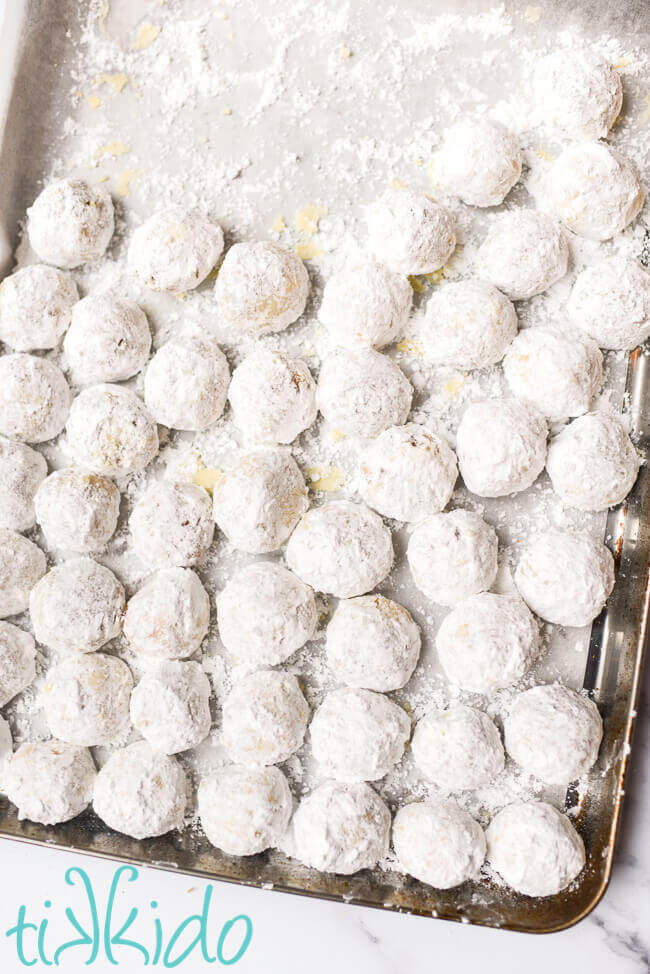 Russian tea cakes cookies covered in powdered sugar on a baking sheet.