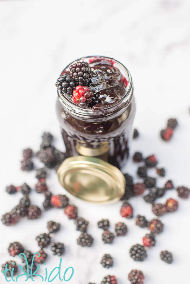 A jar of seedless blackberry jam surrounded by fresh blackberries.