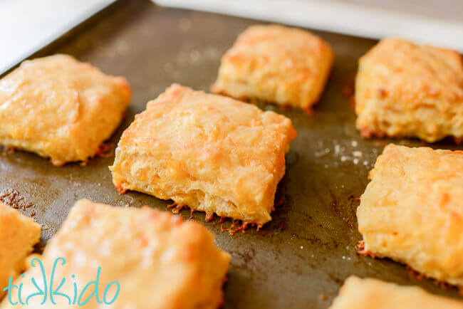 Sriracha Cheddar Biscuits baked on a cookie sheet.