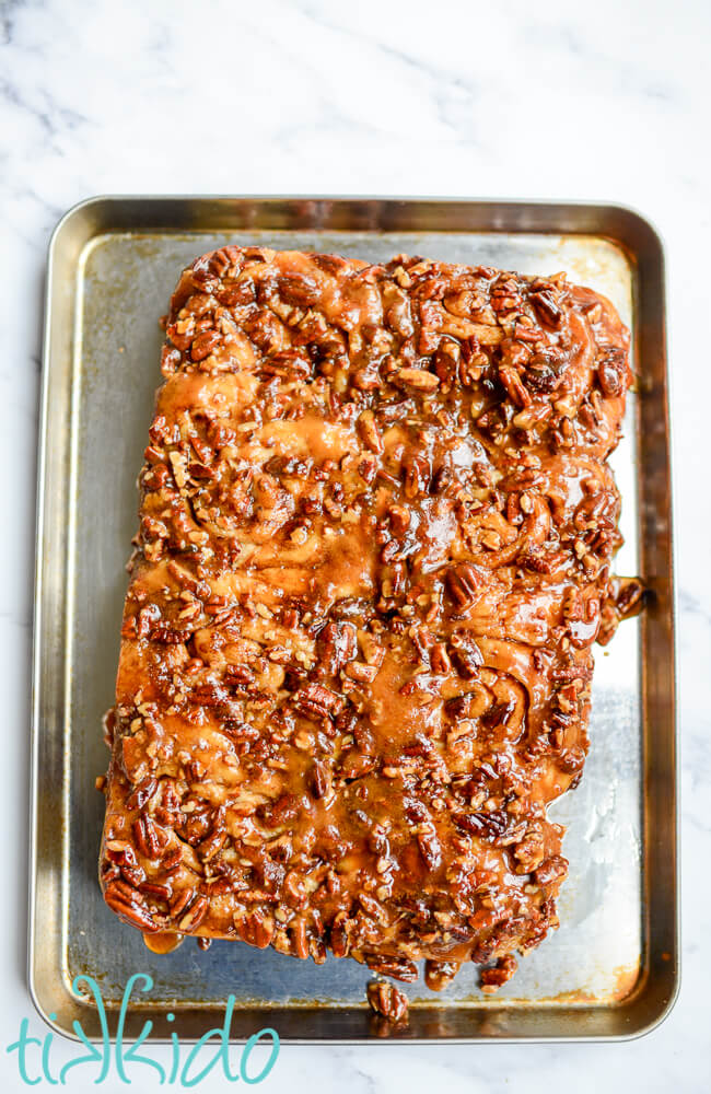 Sticky buns with caramel pecan sauce, just baked and turned out of their baking pan on to a baking sheet.