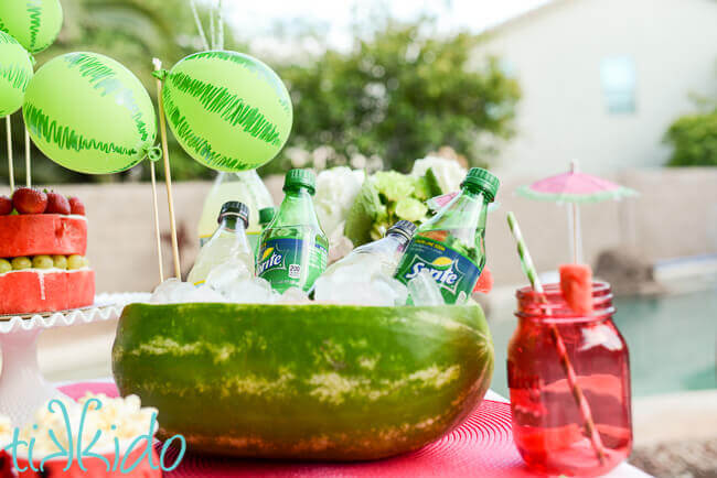 Large watermelon used as a drinks cooler at a Watermelon themed Party.