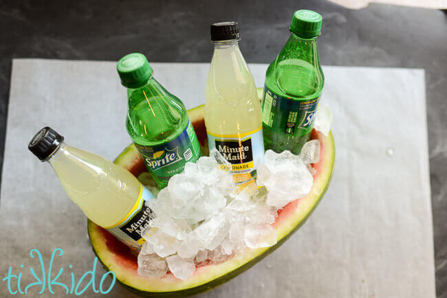 Drink cooler made from a hollowed out large watermelon, filled with ice and sodas.