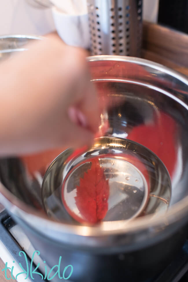 Fall leaf being dipped in melted parafin wax to make Waxed Leaves.