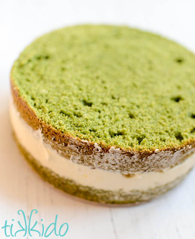 whipped mascarpone cake filling sandwiched between two 8" round layers of green forest moss cake.