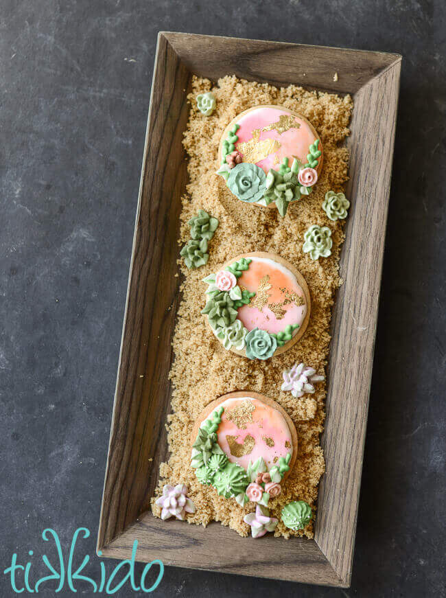 Round sugar cookies decorated with royal icing succulents and cactus on a rectangular tray lined with brown sugar.