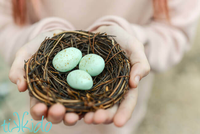 Cream cheese mints made to look like tiny birds' eggs for Easter and spring.