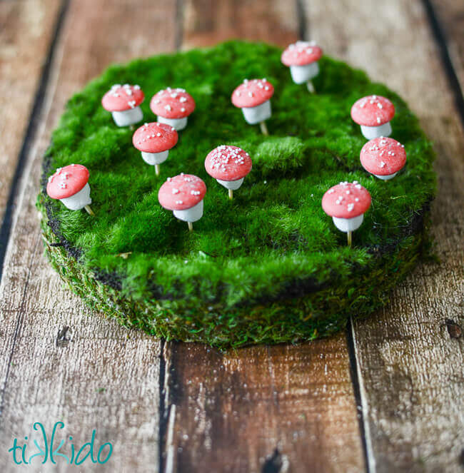 Chocolate mushrooms made with mini marshmallows, chocolate melts, and sprinkles, on a mossy green surface.