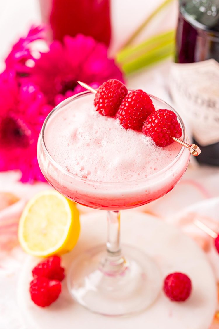 Pink clover cup cocktail in a wide champagne glass.  the pink cocktail has a frothy top, and is garnished with three fresh raspberries skewered on a metal cocktail stick.