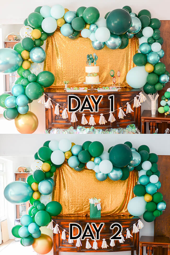 Collage of Green and gold balloon garland photos showing what the garland looks like the day it's made versus 24 hours later.