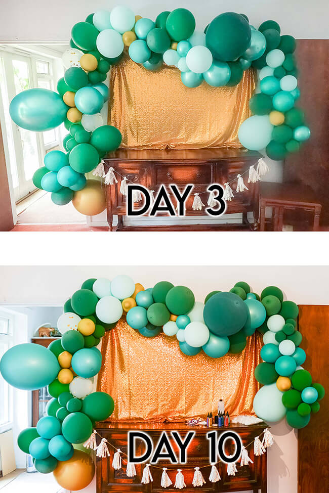 Collage of photos of a balloon garland, showing what it looks like on day three and day ten.