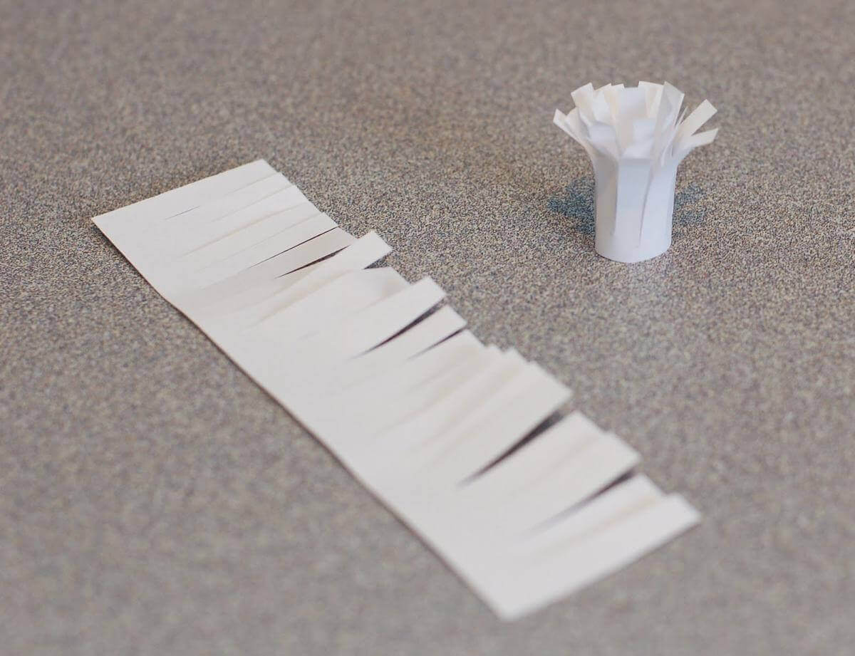Two strips of fringed white paper, one flat on the table, and the second rolled together and standing to form the fringed center of a giant paper flower.