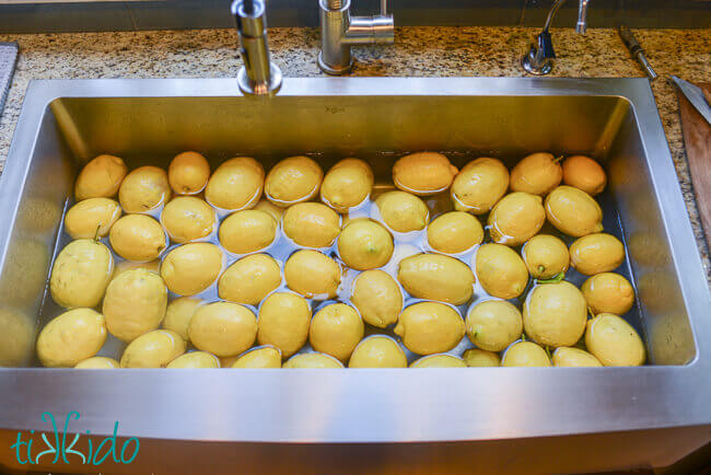 Stainless steel farmhouse sink full of water and fresh lemons.
