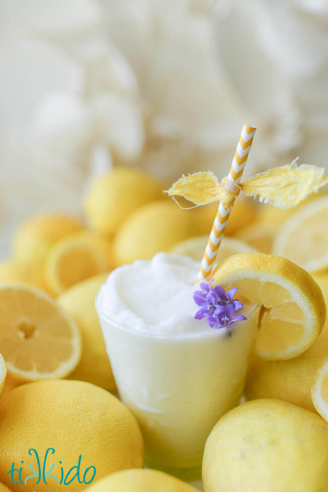 Delicious Frozen Lemonade Recipe | Tikkido.com