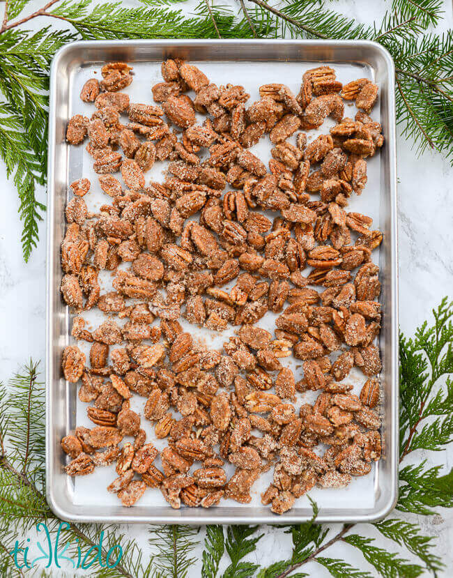 Baking sheet filled with freshly baked Gingerbread Spiced Candied Pecans, surrounded by fresh evergreen branches.