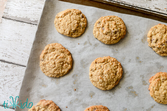 oatmeal chocolate chip cookies on a cookie sheet