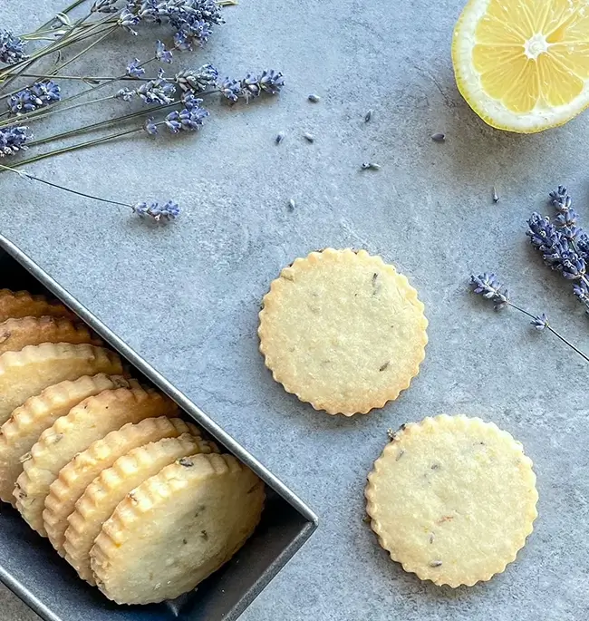 Lemon lavender cookies on a grey surface, surrounded by fresh lavender and slices of lemon.
