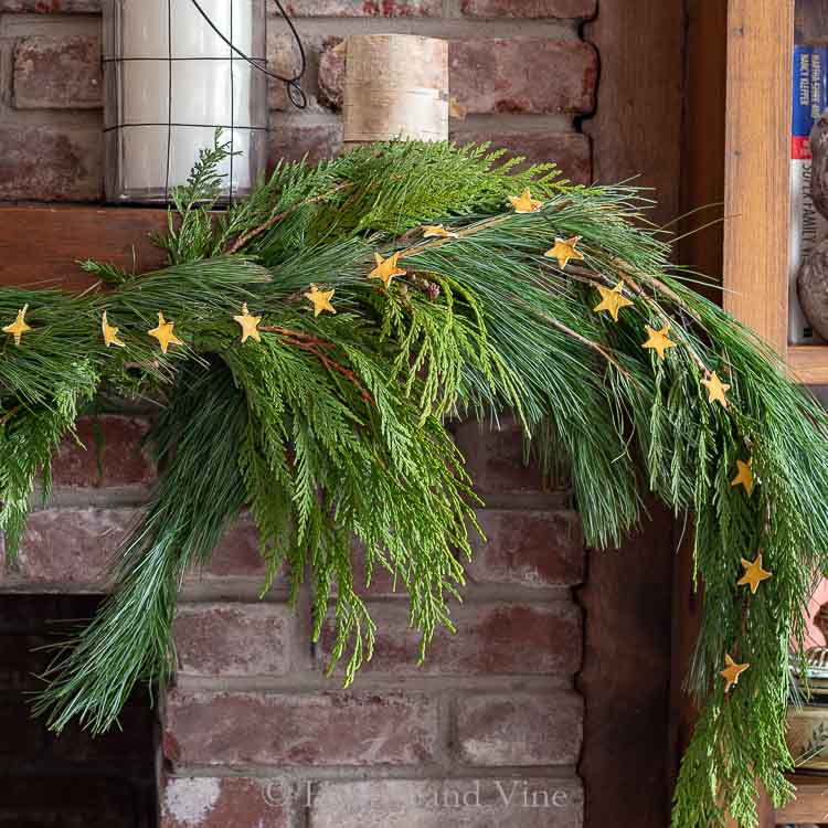 Lemon peel star garland on top of fresh evergreen branches.