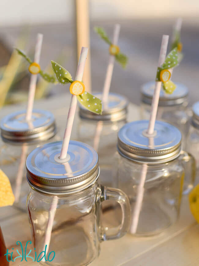 New! Lemon Straw Charms Lemonade Mason Jar Shaped Drinking Straw