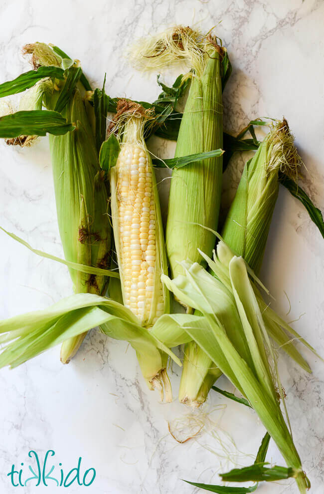 Four ears of fresh, unhusked corn on a white marble background.