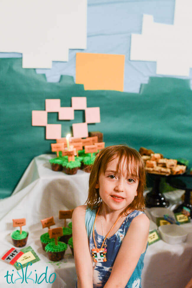 Minecraft Birthday Party