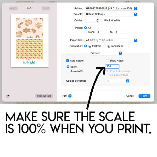 Screenshot illustrating how to print a PDF at 100%.