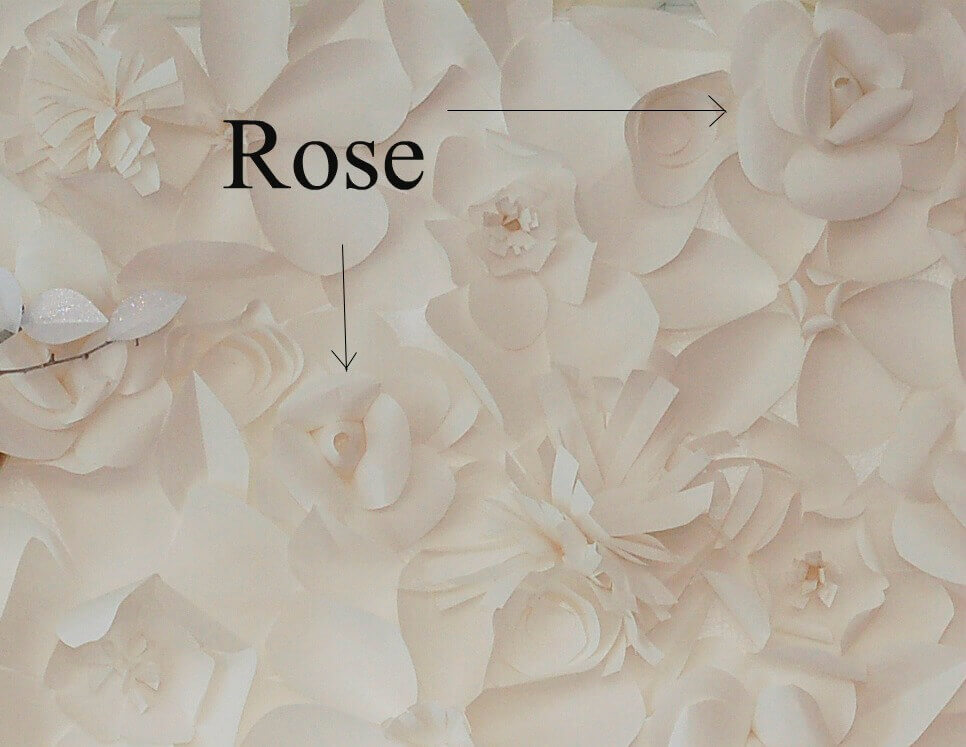 Closeup of a paper flower backdrop with black text pointing to giant paper roses.
