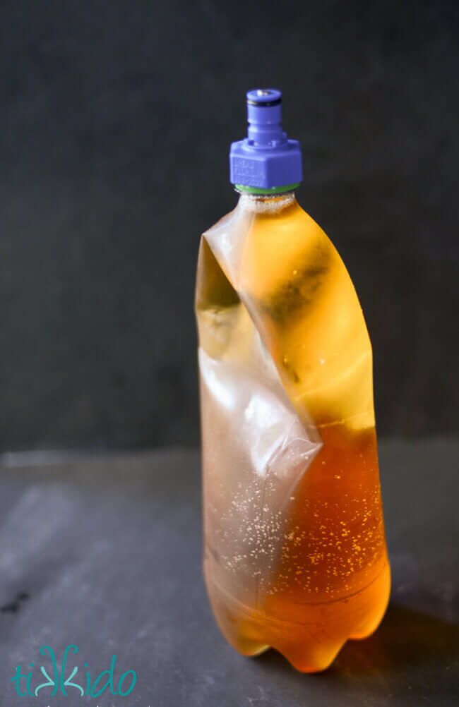 homemade Sparkling Apple Cider in a two liter bottle