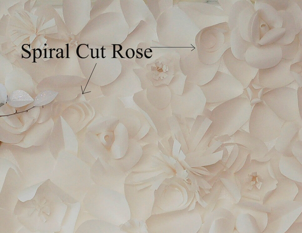 Closeup of a giant paper flower backdrop with black text pointing to spiral cut roses in the display