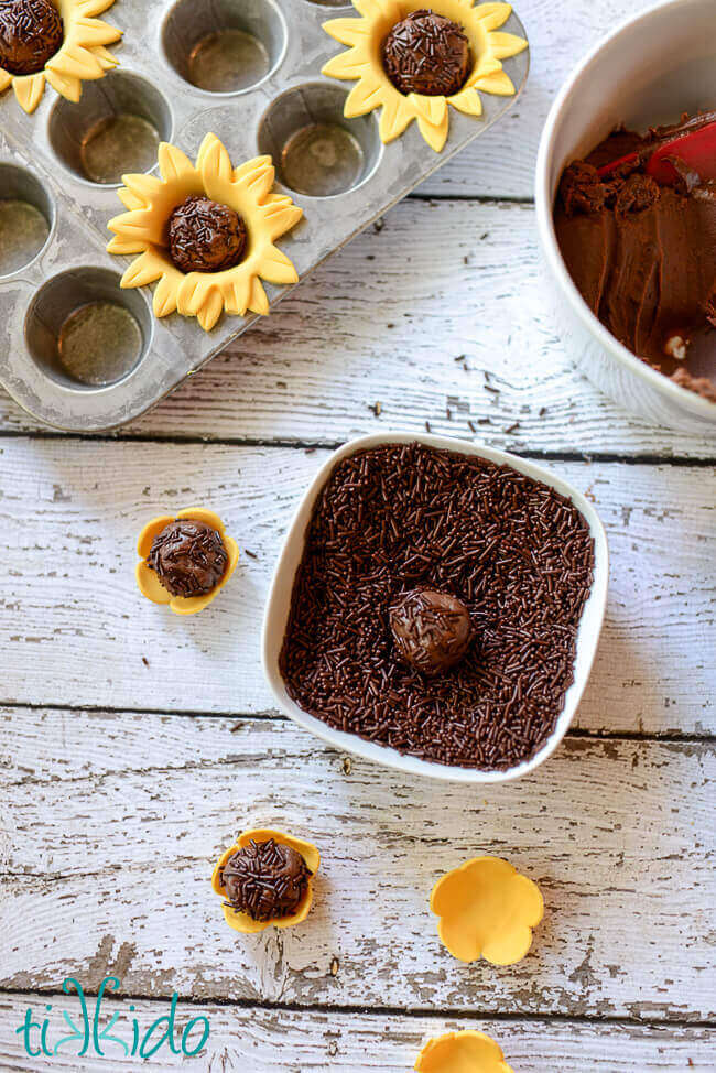 brigadeiro recipe from Brazil, an easy chocolate caramel, made to look like sunflowers.