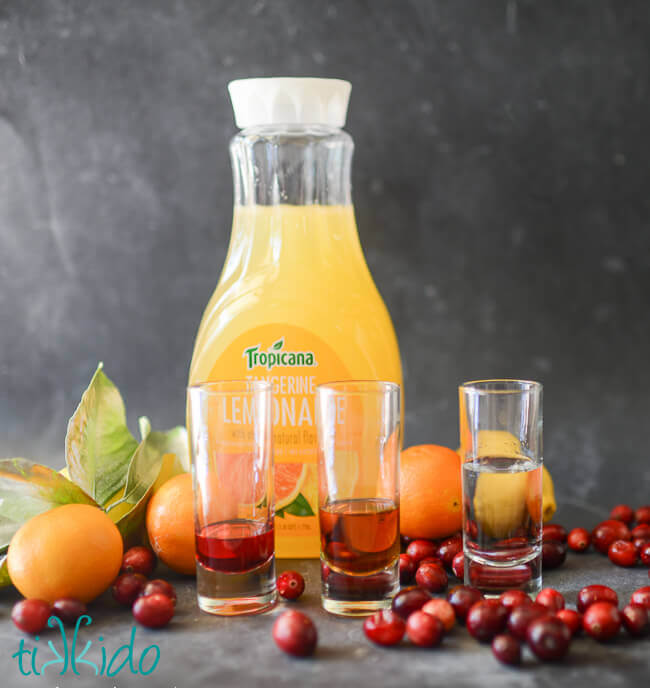 Ingredients for a Citrus Christmas Cocktail, including vodka, amaretto, cranberry juice, tangerine lemonade, and club soda.