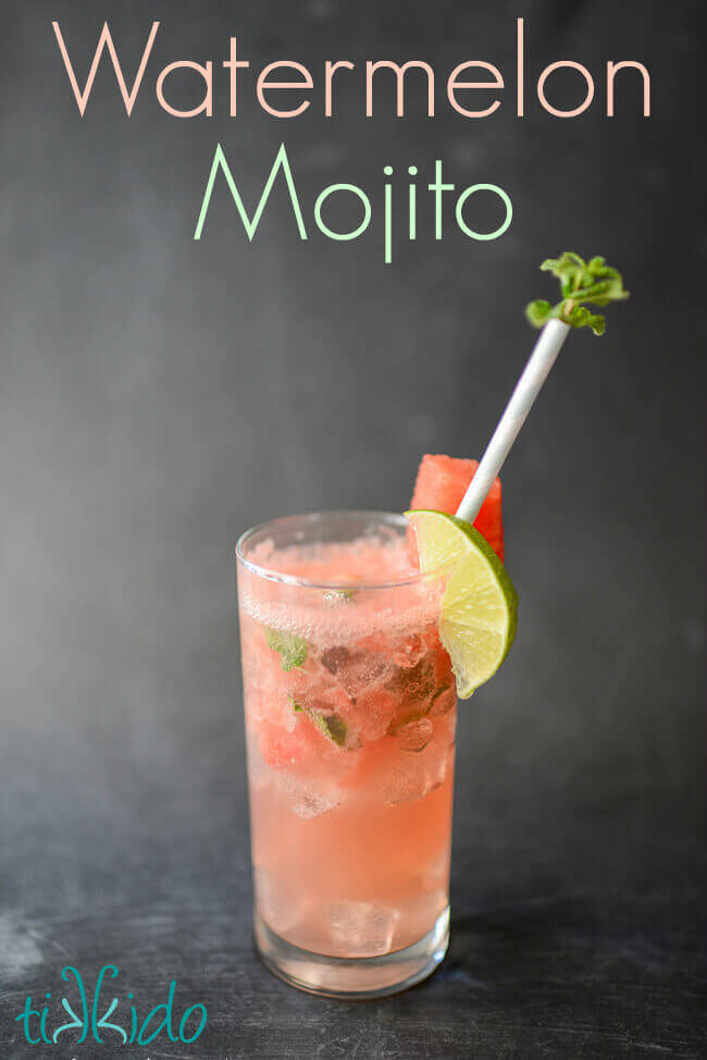 Watermelon Mojito Recipe 4600