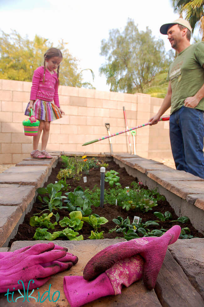 raised vegetable garden stone